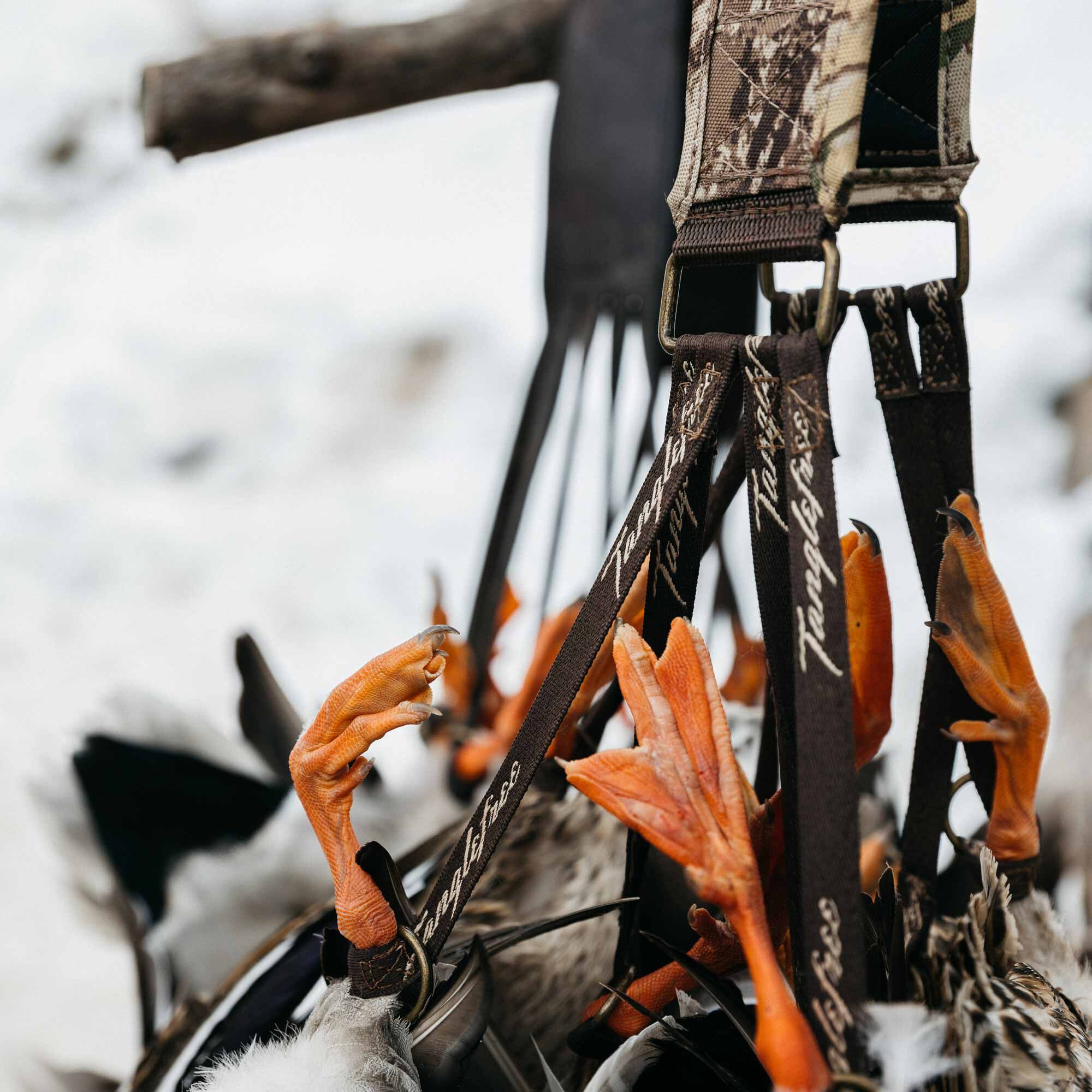 cdn_shop_files_tanglefree-hallux-duck-strap_field1