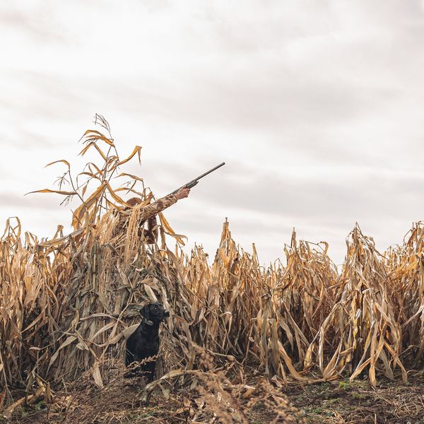 Tanglefree 360 Solo Blind - Image 10